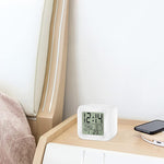 Digitaler Batteriewecker - Vignette | TopWecker®
